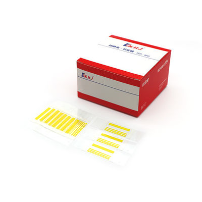 Goede prijs 8 de gaten ontwierpen 8mm uitkiezen Lasband met Acrylkleefstof online